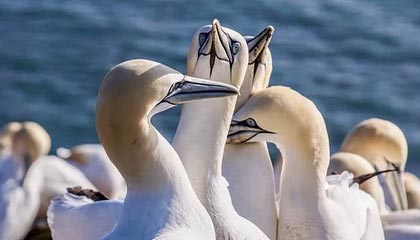 本溪伴游，定制QQ：3494206190微信：act1322